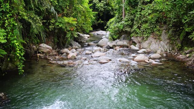 Rocky Tropical River With Crystal Clear Water 4K