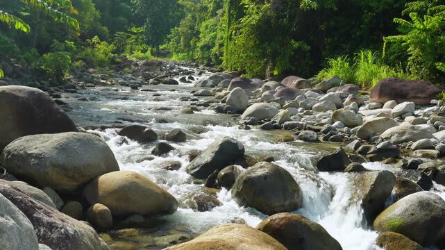 Rocky River Rapids in Tropical Rainforest 4K