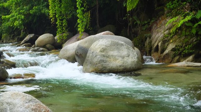 Giant Granite Boulders in Fast Flowing Tropical River 4K