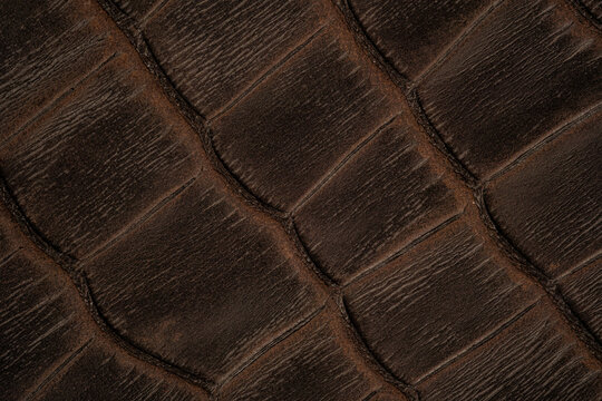 Brown leather texture close up, crocodile embossed surface with natural vintage pattern