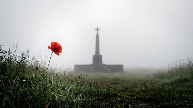 A poignant and evocative image capturing a single red poppy in remembrance symbolizing sacrifice and honoring the fallen heroes particularly on remembrance