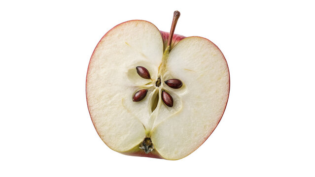 Single fresh raw cross section sliced half of red apple isolated on transparent background