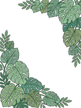 Tropical monstera leaf border frame with white copy space for design