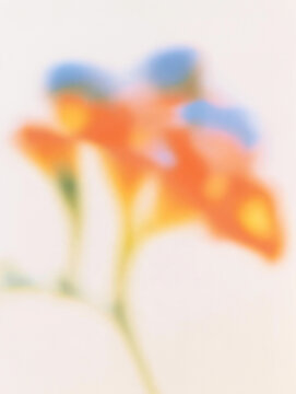 抽象的, ぼかし, フラワーアート, 花, 柔らかい色, パステルカラー, アート写真, 背景用, 穏やか, やさしい雰囲気, ドリーミー, ピンク, オレンジ, ライトブルー, 霞んだ, 美しい背景, ふんわり, 柔らかい, 植物, 自然, 風景, 静けさ, 癒し, ソフトフォーカス, スローフォト, 花びら, 春, 芸術的, エレガント, グラデーション, ロマンチック, クリーン, ミニマル