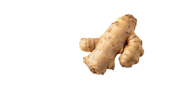 Fresh raw organic ginger root healthy aromatic spice cooking ingredient isolated on transparent background