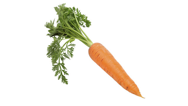 Whole fresh orange carrot raw organic vegetable root crop isolated on transparent background