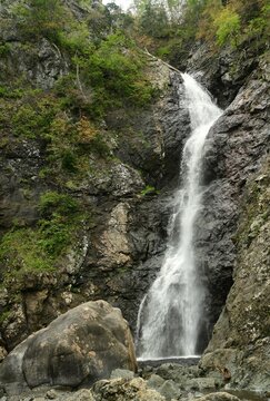 picturesque copper mine falls in a forest  off route 450 in york harbour in summer in western newfoundland, canada
