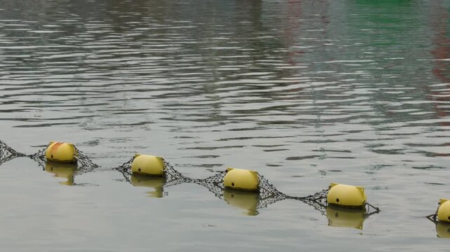 Yellow Buoys Floating on Calm Coastal Water Surface