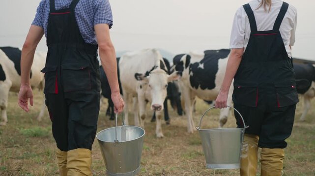 Close up of male and female dairy farmers working at livestock farm. 
