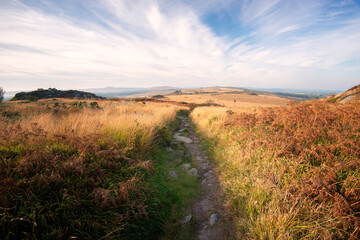 Fototapeta premium Chemin de randonnée traversant les Monts d'Arrée dans le Finistère en région Bretagne, secteur du Roc'h Trevezel