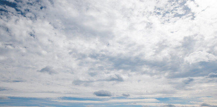 Altocumulus clouds blanket a blue sky, dense cloudscape thickening into overcast weather above a horizon. Gray and white texture layers softly in a hazy pattern. Calm panorama, copy space.