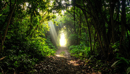 Fototapeta premium Sunlight filtering through lush green forest canopy onto a dirt path creating a magical pathway of light