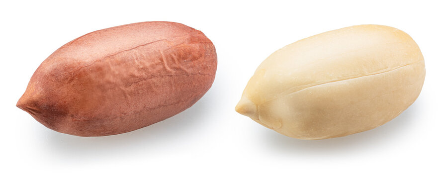 Two peeled peanut kernels isolated on a white background. Clipping Path.