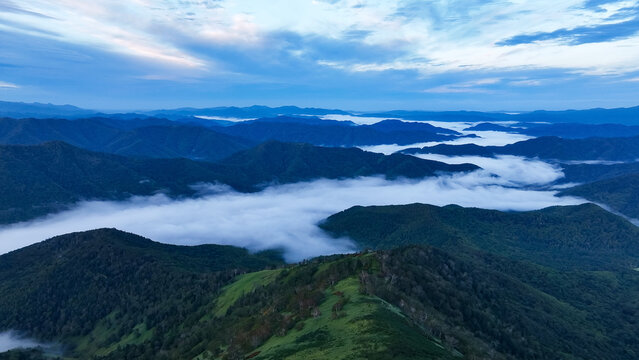 Drone aerial view of canyons and sea of ​​clouds. Nature, environment, mountains, forests, spectacular scenery, woods, panorama, view, overhead view, land, magnificent, dawn