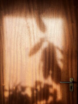 The shadow of a potted plant cast onto a polished wooden door with a metal handle and keyhole.