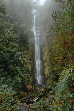 A tall waterfall cascades down a rocky cliff surrounded by dense green forest and tropical ferns under a thick fog. This image represents natural purity, ecological balance, and tranquility.