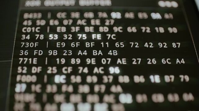 Changing hexadecimal rows fill cryptographic output screen