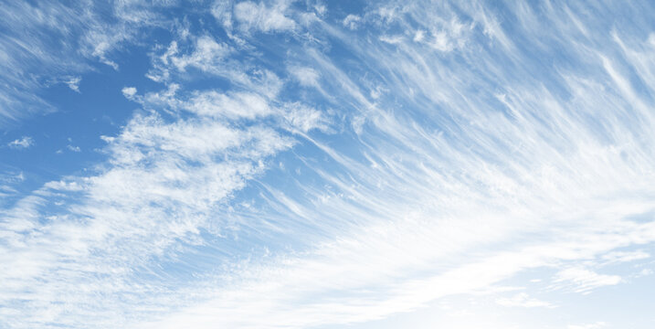 Cirrus clouds with blues only sky