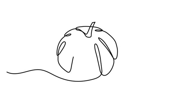 Pumpkin one line art animation, continuous contour drawing motion, hand-drawn gourd vegetarian food, proper nutrition healthy diet movie. Halloween Thanksgiving 4k self-drawing video