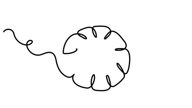 Pumpkin one line art animation, continuous contour drawing motion, hand-drawn gourd vegetarian food, proper nutrition healthy diet movie. Halloween Thanksgiving 4k self-drawing video