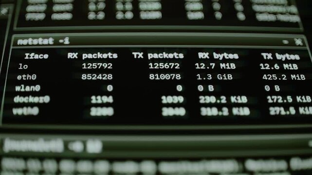 Network interface statistics update packet and byte totals