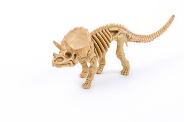 Triceratops skeleton on a white background © Janusz