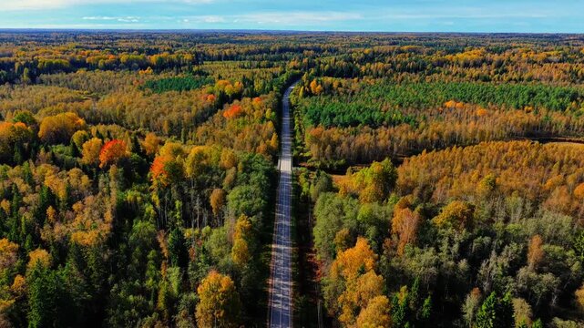 Aerial view of winding road through vibrant autumn forest with colorful foliage