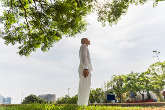 A man stands tall and looks up at a large tree in an urban park