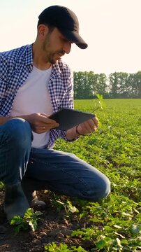 Farmer in the field. Selective focus.