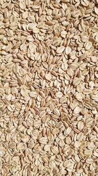 Photorealistic Natural Oat Grain Texture with Pale Beige Flakes