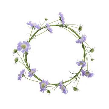 Beautiful purple wildflower wreath botanical circle frame transparent background