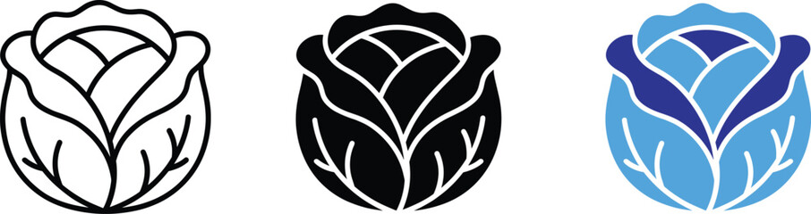 Fototapeta premium Cabbage vegetable icon set vector line art outline and solid fill color illustrations