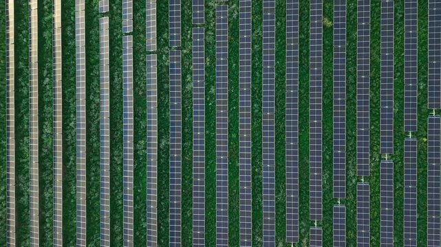 Central Gap Within Symmetrical Solar Rows
