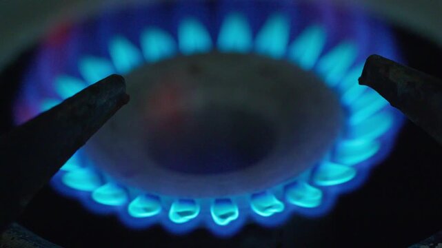 Close-up of a burning natural gas stove burner with bright blue flames. Concept of energy resource, heating, cooking, methane gas consumption, and utility bill crisis
