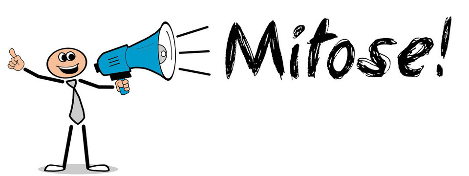 Mitose	
