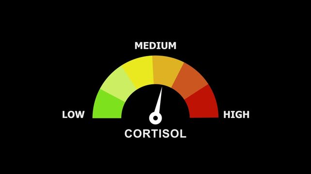 Animated cortisol level gauge meter indicating stress levels from low to with dynamic needle movement for medical health education, wellness tracking, and physiological stress response analysis