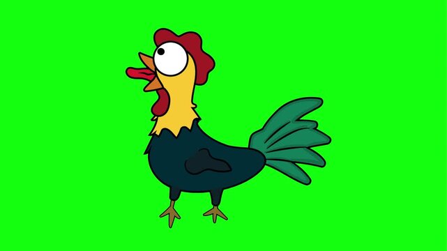 a vector animation of a colorful rooster with funny shocked expressions, featuring wide eyes, open beak, and tongue-out reaction. Perfect for playful, meme, and character content