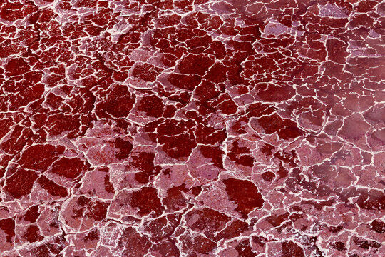 The blood red salt crust of Lake Magadi, South Rift Valley, Kenya. Microbes and algae produce pigments that stain the salt flats red, creating abstract geometric patterns.