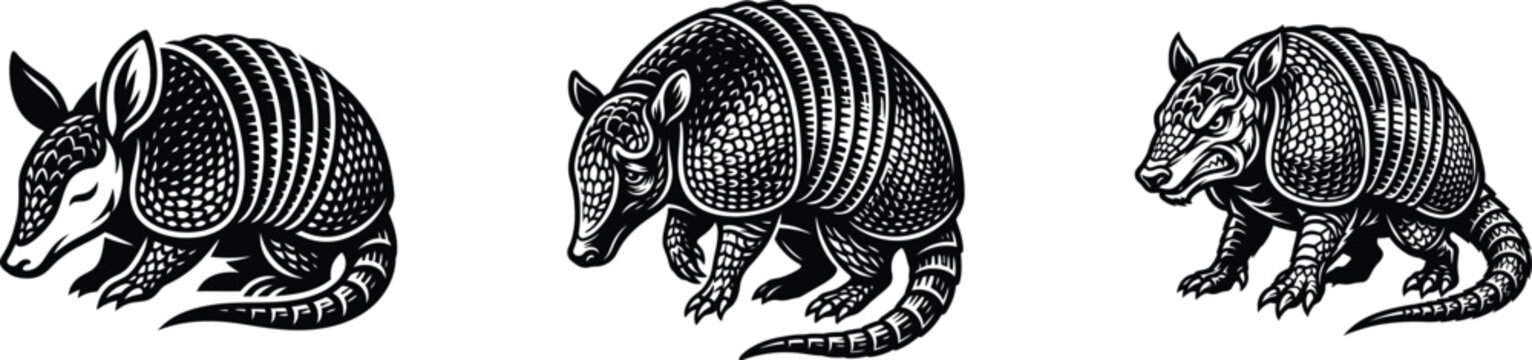 Three black and white vintage style armadillo animal illustrations in different poses set