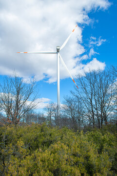 Wind turbines in Istanbul. A wind power plant (wind turbines) situated in a vast rural area is visible. In the foreground, there is a wide expanse of land covered with dry grass, shrubs, and green veg