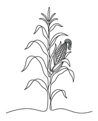 Fototapeta premium Minimalist continuous line art corn stalk, maize plant vector illustration, black and white agricultural crop icon for harvest logo design