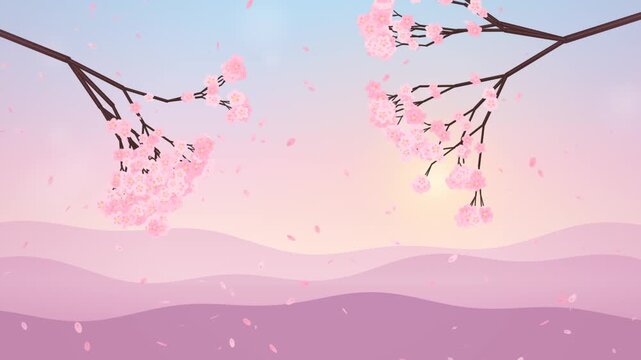 Japanese cherry blossom sakura petals falling loop