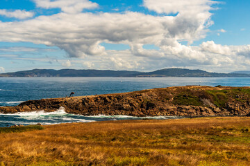 Fototapeta premium Paisaje en A Coruña, Galicia.