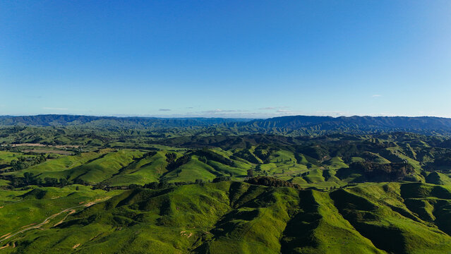 Aerial view of rolling green hills and pastures under a clear blue sky in the Waikato District, Waikato Region, New Zealand.