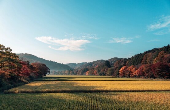 秋風が渡る朝の田園