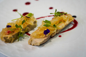 Exquisite gourmet foie gras terrine served with caramelized onion confit, vibrant berry coulis reduction, and edible floral garnish in elegant fine dining setting. © samy