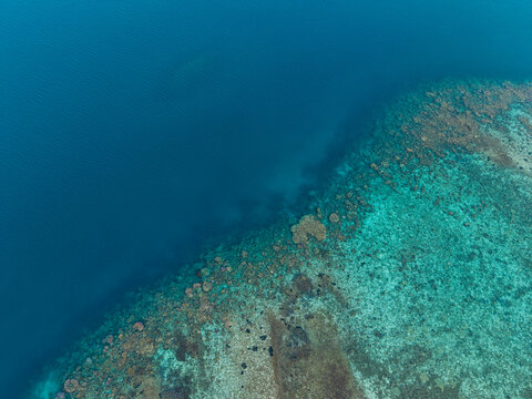 Aerial view of a vibrant coral reef with clear turquoise waters contrasting against the deep blue ocean in Karimunjawa, Central Java, Indonesia.