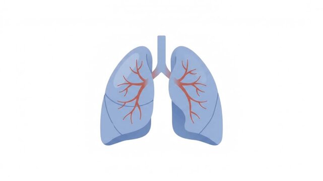 Minimal Human Lungs Medical Icon Animation for Respiratory Health Healthcare Doctor Hospital Diagnosis and Treatment
