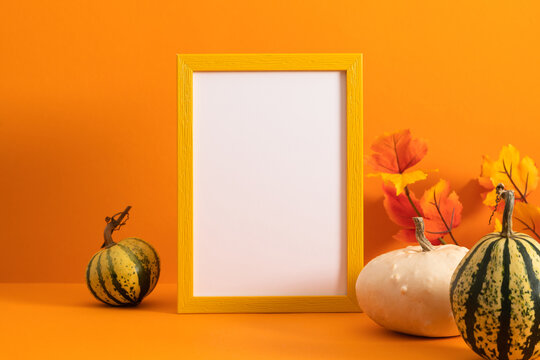 Autumn Thanksgiving mock up frame with white and striped decorative pumpkins and fall leaves on orange background. Empty picture border template for seasonal harvest holiday greeting card.
