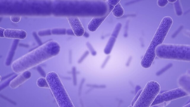 Probiotic rod shaped bacteria floating in 3D on purple background, lactobacillus bacilli microbiome microscopic close up